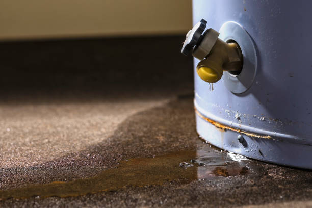 Best Water damage cleanup near me  in Island Lake, IL