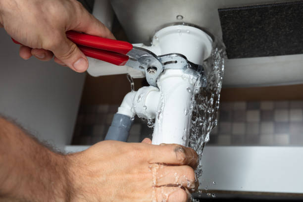 Best Flood restoration services  in Island Lake, IL