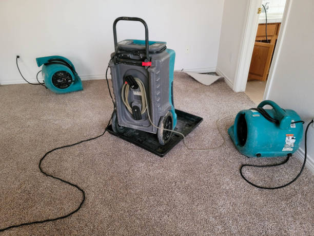 Trusted Island Lake, IL Water damage restoration Experts