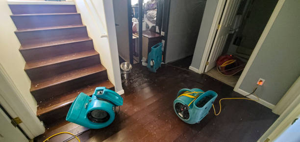 Best Water damage restoration near me  in Island Lake, IL
