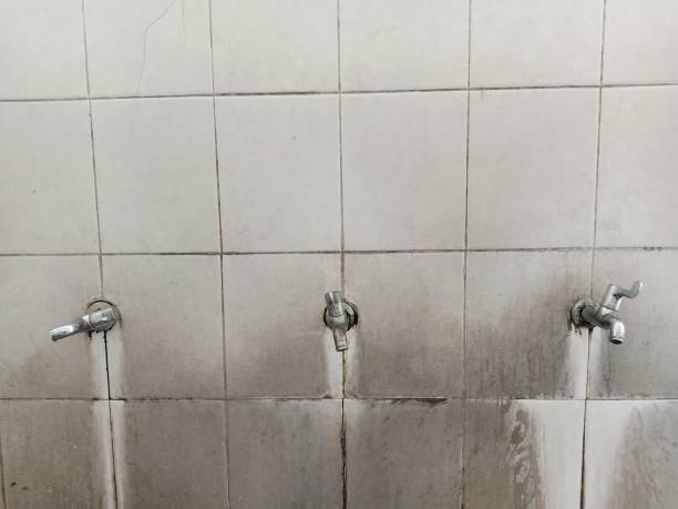 Best Water damage restoration near me  in Island Lake, IL