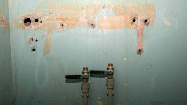 Best Residential water damage restoration  in Island Lake, IL
