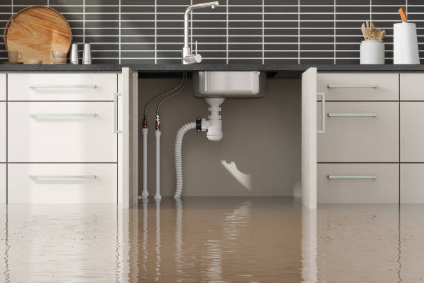 Best Flooded house restoration  in Island Lake, IL